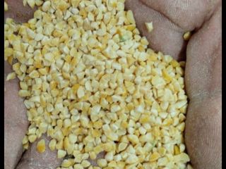 Guisantes molidos, grañones, en bolsas grandes. El precio es