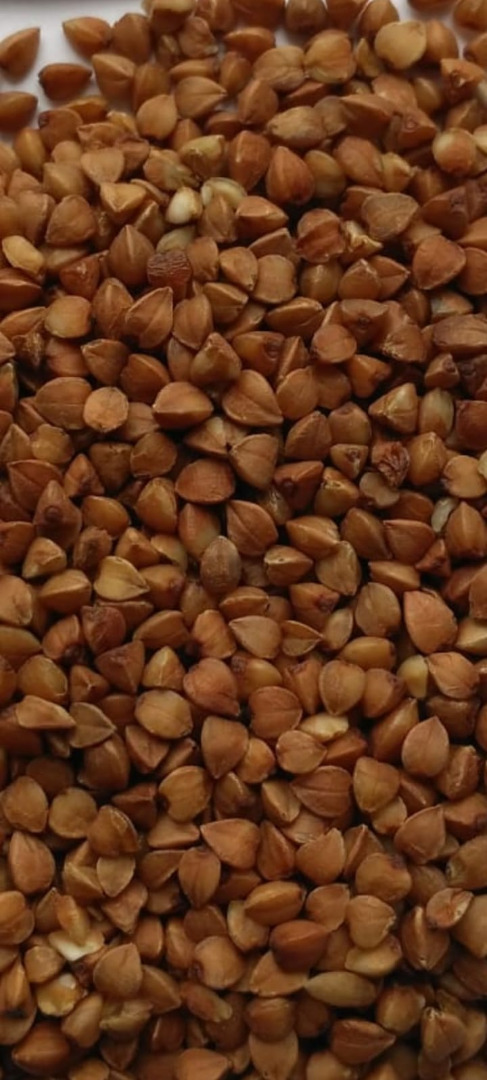 Alforfón en frijoles grandes, producido en Ucrania-Rusia