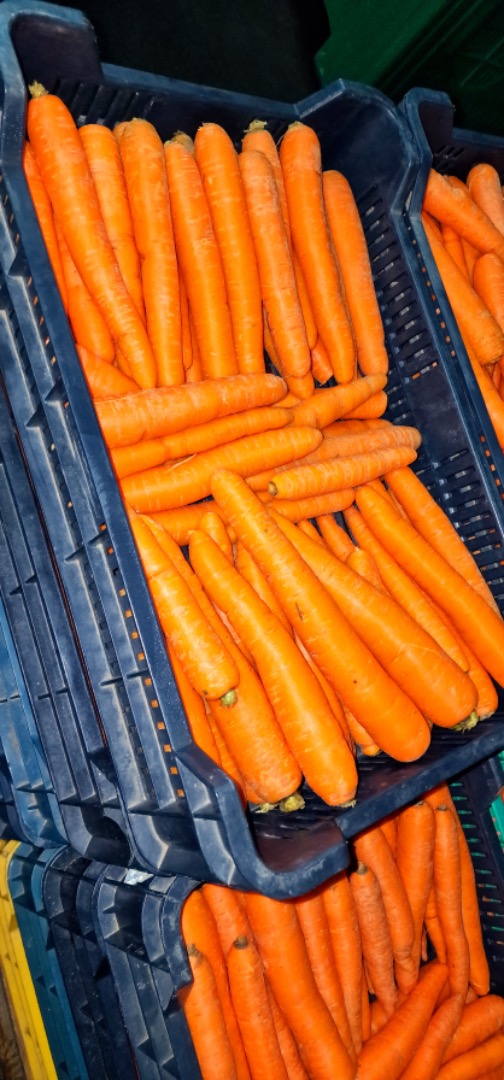 Venta de zanahorias húngaras recolectadas a mano