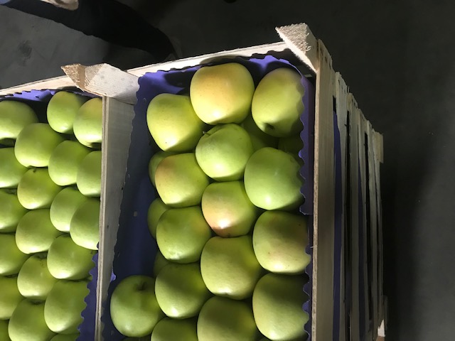 Ofrecemos manzanas de Polonia de todas las variedades en cualquier embalaje