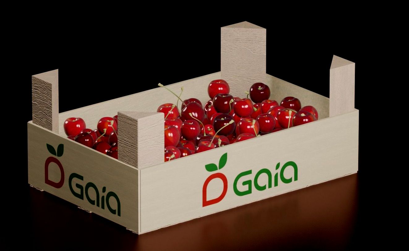Producimos y distribuimos: cerezas, ciruelas y la variedad más dulce de uvas moldavas