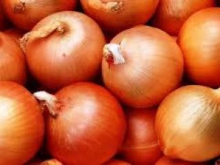 SOMOS UNA EMPRESA ESPECIALIZADA EN EL CULTIVO Y EXPORTACIÓN