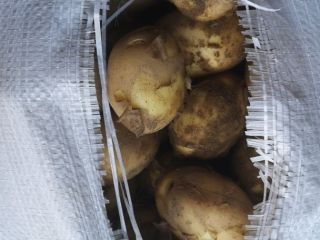 Vendo patatas nuevas entre 25 y 50 toneladas.