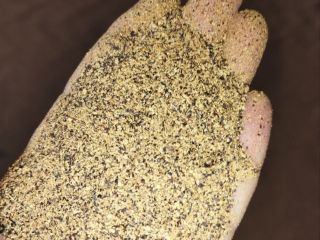 Harina de colza, a granel, 34-37 % de proteína,