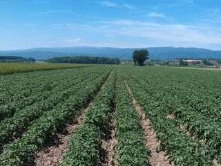 ¡Hola! Somos un colectivo de agricultores de Rumania y
