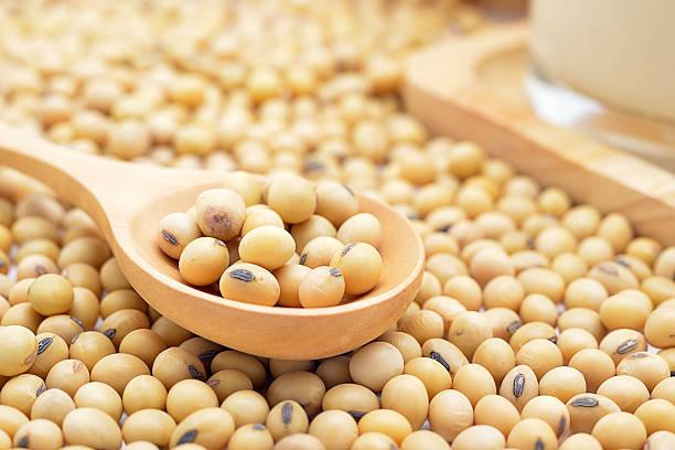 Agro cars LTD ofrece soja de buena calidad de origen ucraniano: -Tenemos todos los certificados de calidad -El embalaje es negociable (suelto o en bolsa
