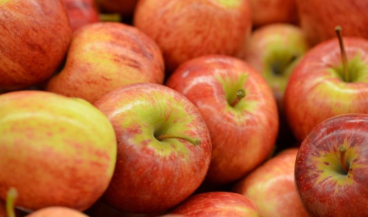 Agro cars LTD ofrece manzanas de varias variedades de origen ucraniano: -También ofrecemos diferentes tamaños -El embalaje es negociable -El precio es