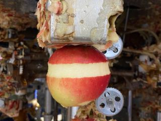Hola, somos una fábrica que pela manzanas. Estoy interesado