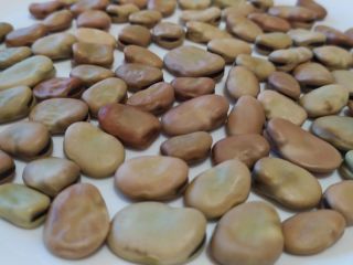 Venderé habas secas (de tamaño mediano) y garbanzos. Las