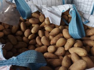 Venta de Patatas Mondial Big Bag de 40-60 mm