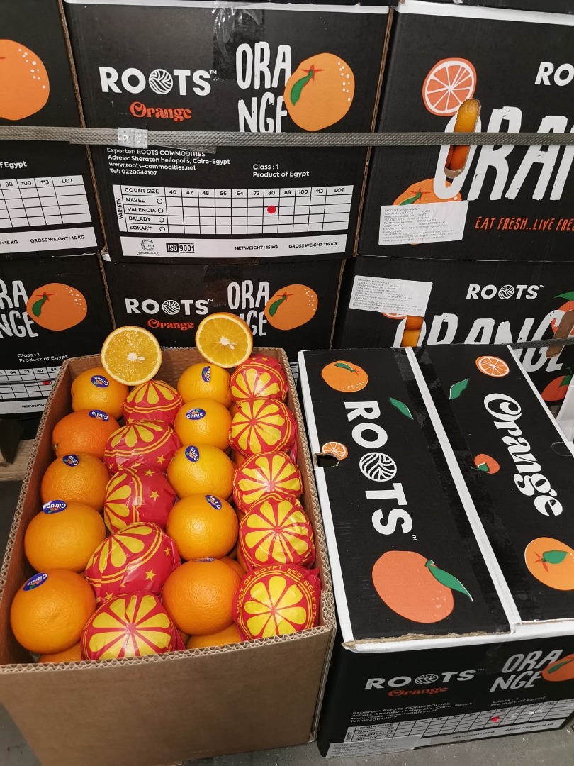 Naranjas Valencia de Egipto Calibre 64, 72, 80, 88 100 contenedores disponibles Envío completo solo al por mayor