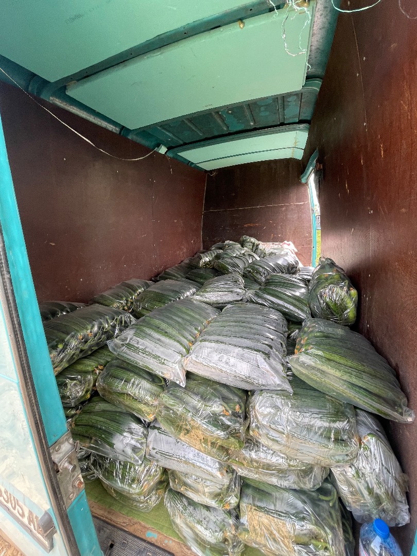 Petrich, vendo pepinos, tomates, etc