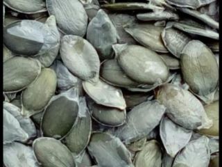 Ofrecemos semillas de calabaza a la venta. También ofrecemos