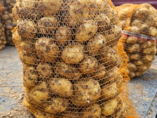 Hola, tengo grandes cantidades de patatas nuevas, contáctame si