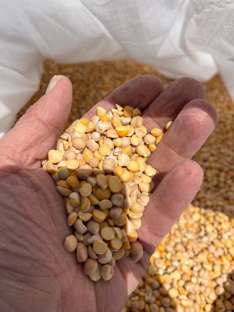 Venta de garbanzos en big bags o, mediante acuerdo, en sacos de 25 kg