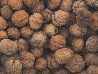 Venderé nueces con cáscara.
