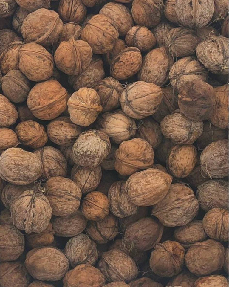 Venderé nueces con cáscara