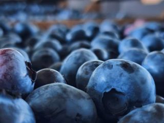 Frutas certificadas GLOBAL GAP y GRASP. Precio negociable para