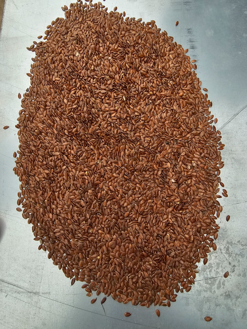 Pureza de las semillas de lino 99,95-99,99%