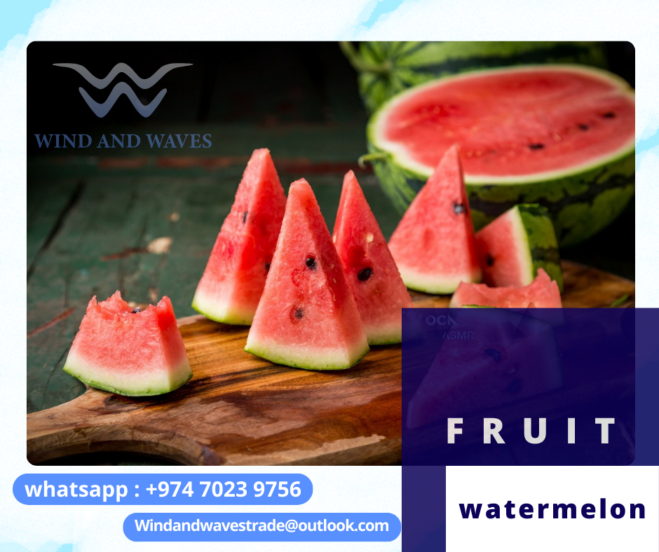 Comercio de viento y olas: ¡Exportando sandías de primera calidad a precios competitivos! Descubre la frescura de Túnez con nuestras jugosas y suculentas