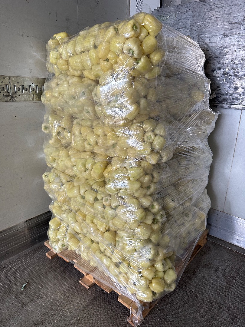 ❗️¡Vendemos verduras frescas rumanas al por mayor! ❗️¡Vendemos verduras frescas rumanas al por mayor! ☎️Más detalles al whatsapp al número telefónico ☎️Más