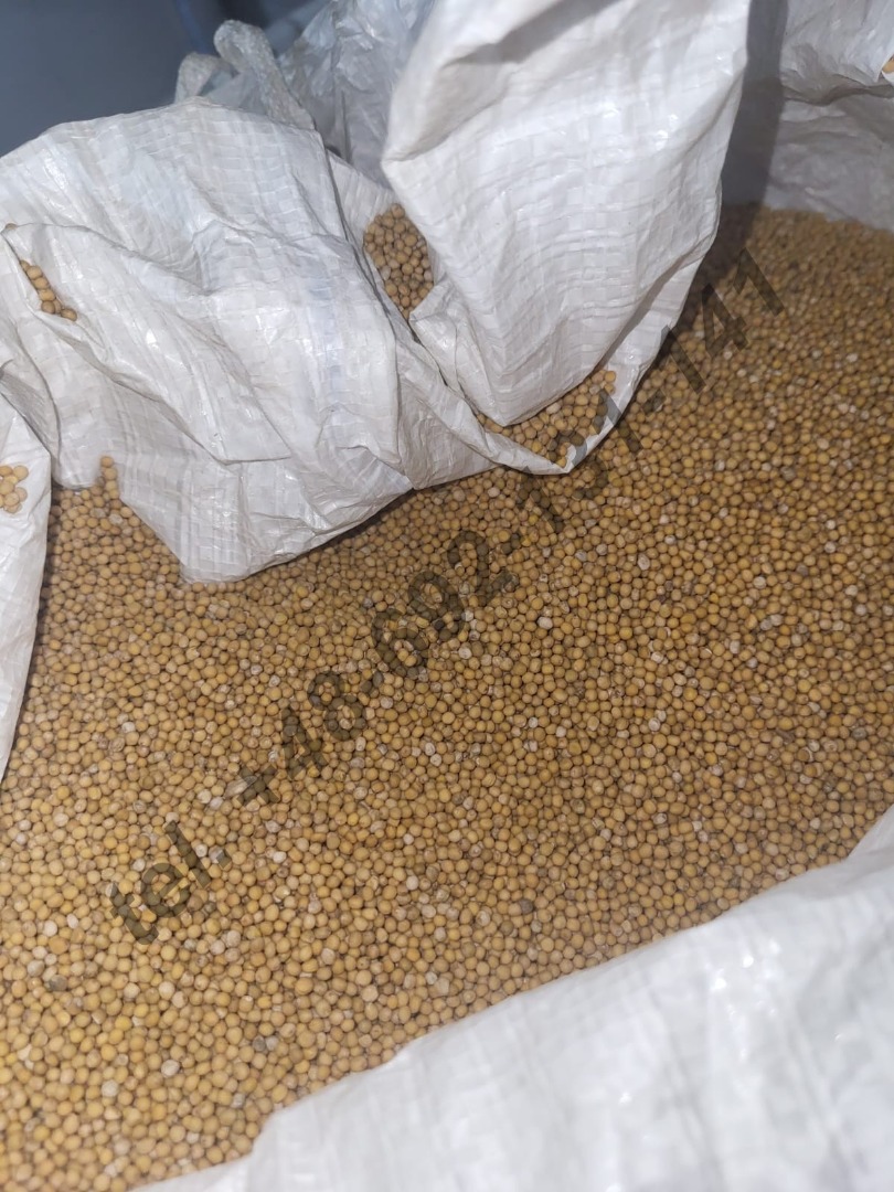 Nos gustaría ofrecerle la compra de semillas de mostaza blanca Elena - cosecha en 2023 Origen - Bielorrusia Pureza - 99,80% La mostaza se envasa en bolsas