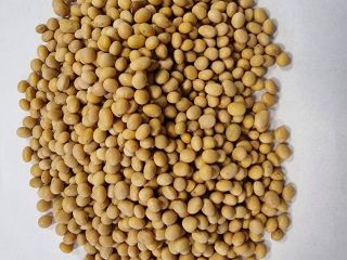 Oferta de soja forrajera Precio oferta negociable por 200