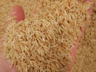 Subida de basmanti / Arroz basmanti Oferta de arroz