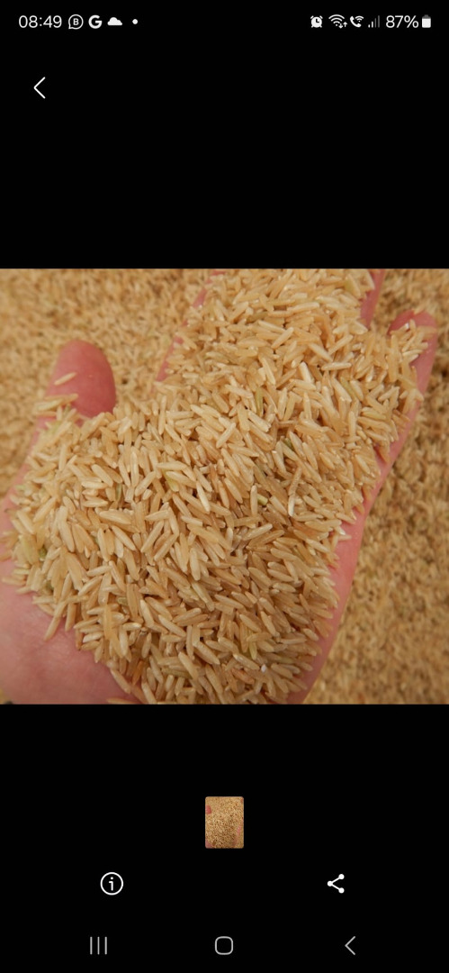 Subida de basmanti / Arroz basmanti Oferta de arroz basmanti, 150 toneladas, precio a convenir, por favor contácteme Oferta de Arroz basmanti, 150 toneladas