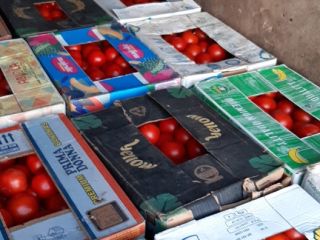 Estimados clientes: Nos gustaría anunciarles que vendemos pepinos, tomates