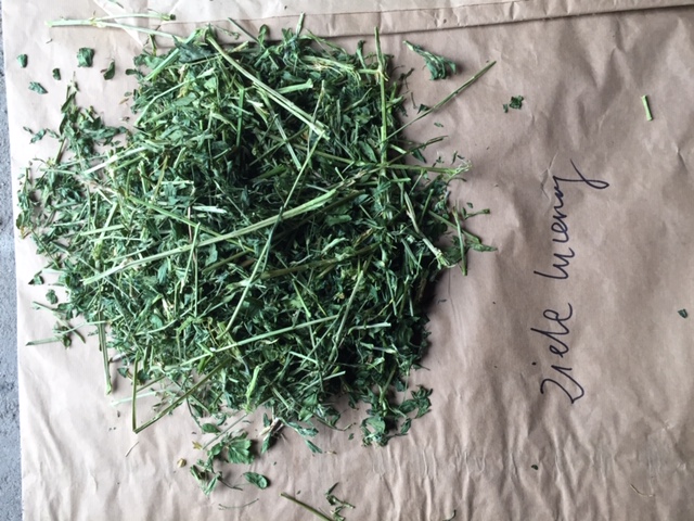 Vendo hierba de alfalfa secada en secadora para mascotas, heno envasado en bolsas plásticas de 1 kg