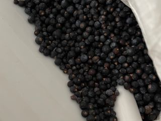 Fruto de enebro -Juniperus communis. Ordenados por color y