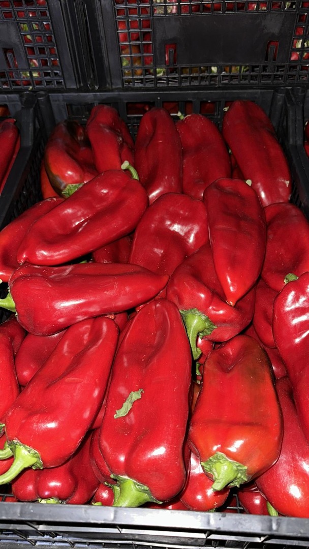 Somos una empresa de capital privado, íntegramente rumano, que desarrolla su actividad en el ámbito de la importación y exportación de frutas y hortalizas