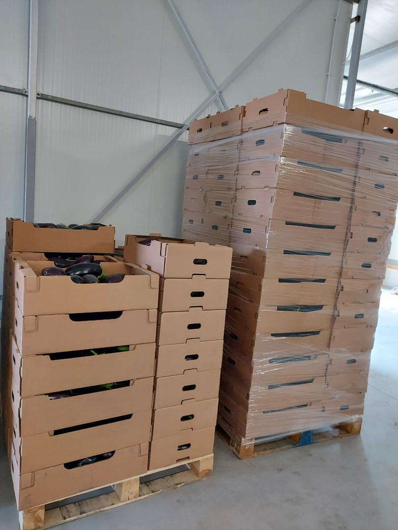 Vendemos grandes cantidades de berenjenas de la más alta calidad, directamente de los productores
