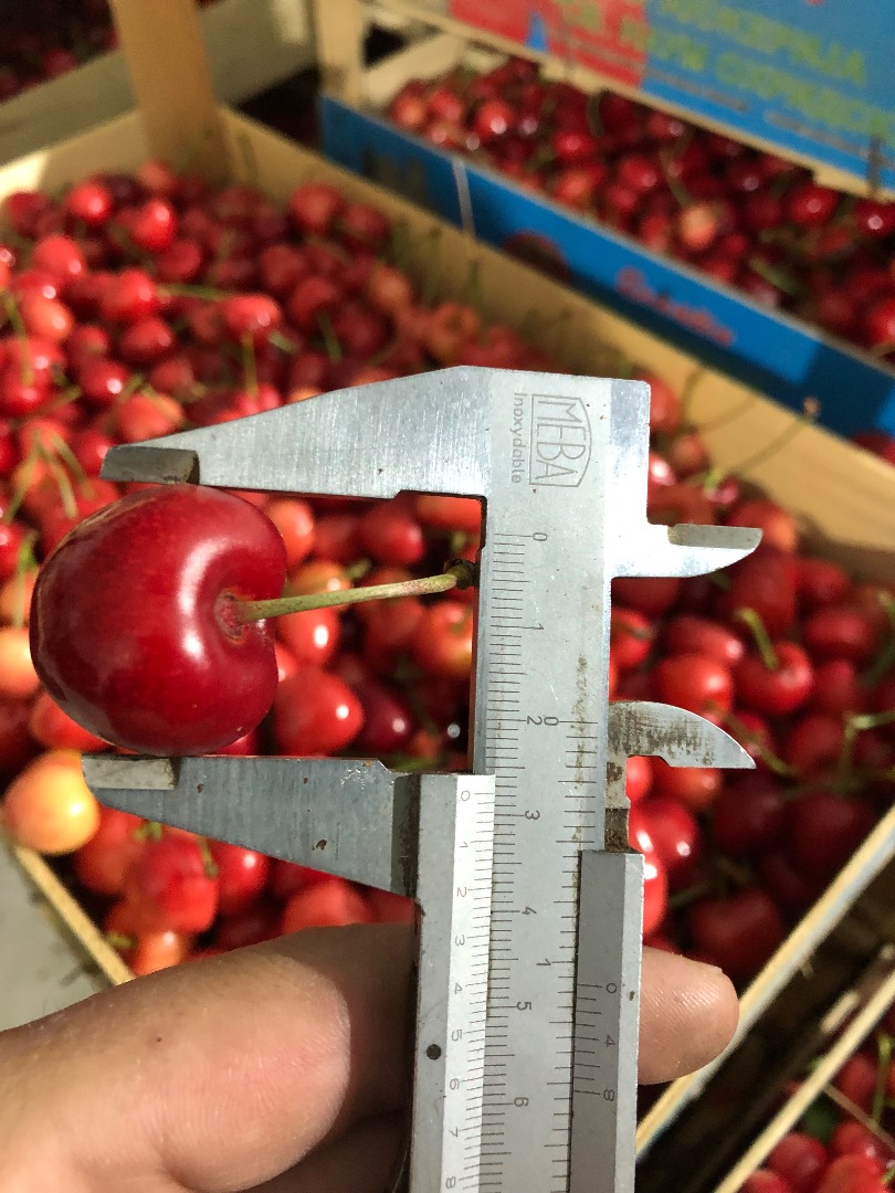 Cerezas congeladas con hueso y tallo a la venta
