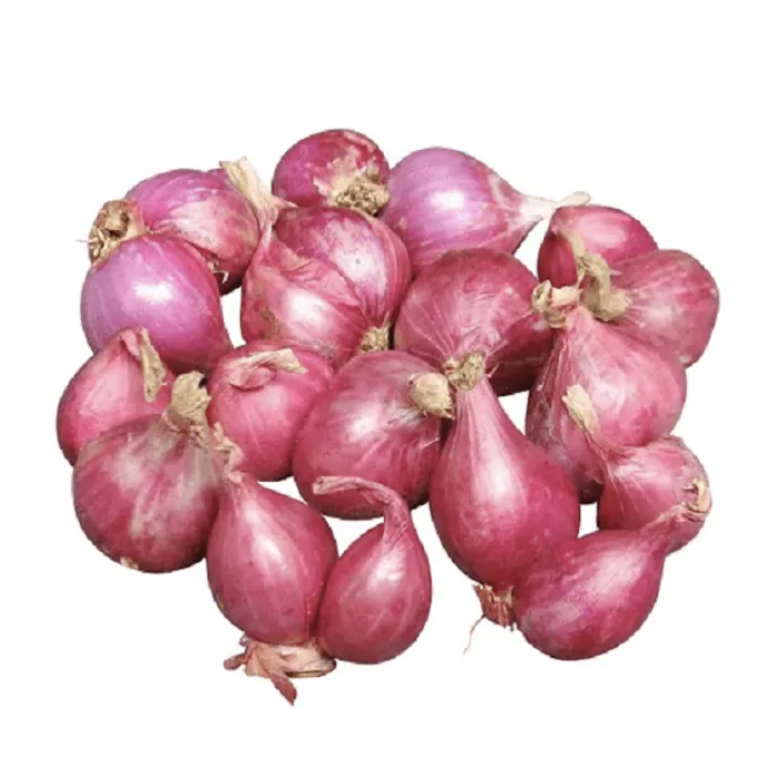 Venta al por mayor de cebolla fresca / cebolla blanca - Gran venta de cebollas pequeñas Estilo: Fresco Tipo: Cebolla Tipo de producto: Vegetales liliáceos Tipo