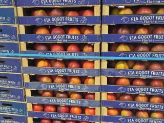 ESTE VERANO LAS FRUTAS SON DE CALIDAD SUPERIOR Y