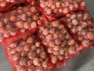 Cebolla blanca, envasado: redes para hortalizas en palets -