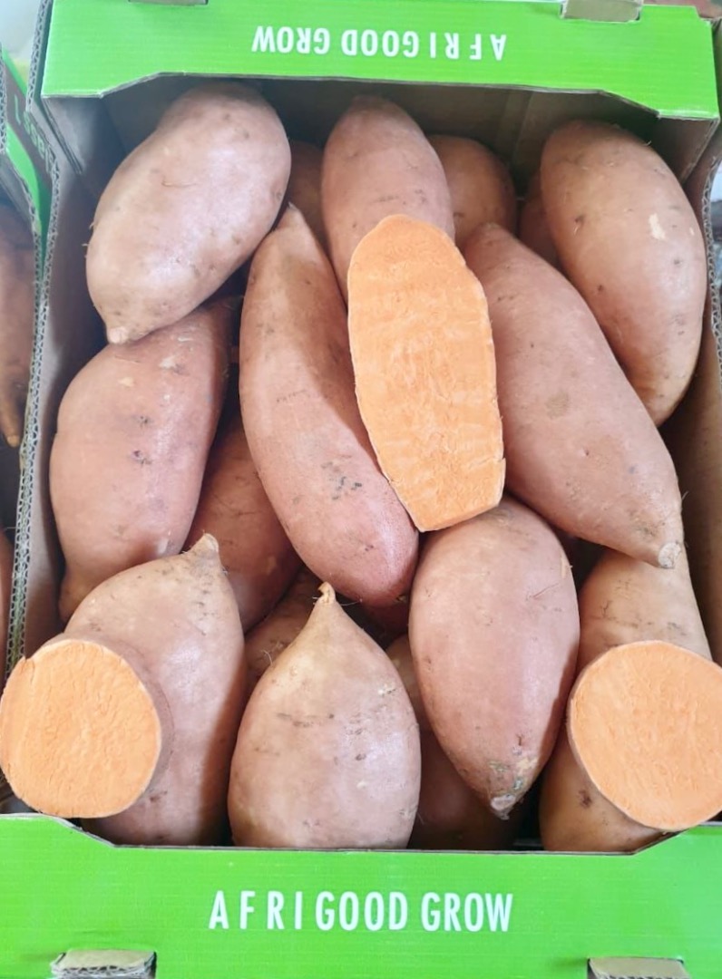 Batatas dulces en caja de cartón de 6 kg, variedades Beauregard y Bellevue