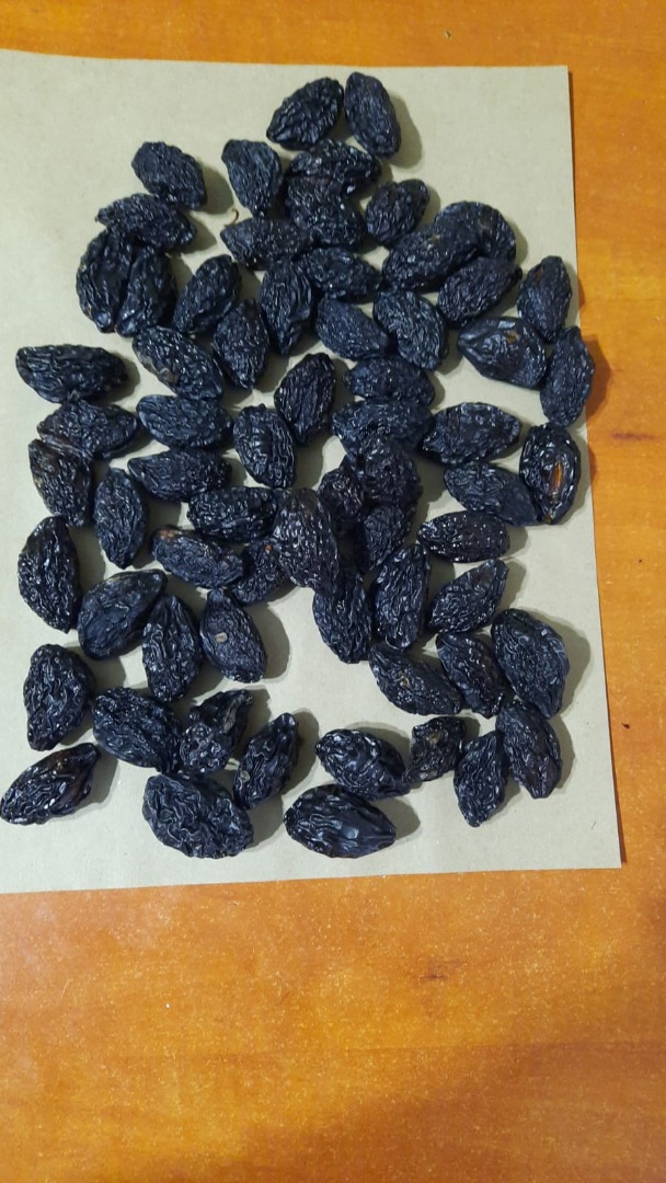 Tenemos ciruelas pasas Stanley en stock