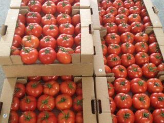 Cerezas, guindas, albaricoques, melocotones, nectarinas de melocotón, frambuesas..... coles,