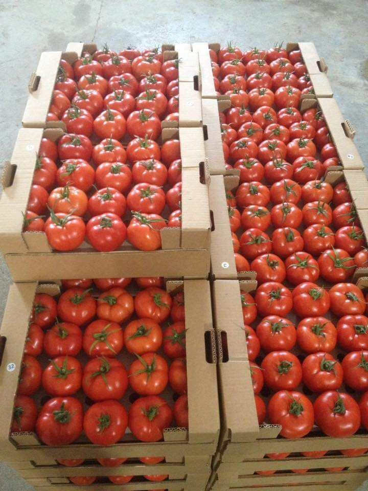 Cerezas, guindas, albaricoques, melocotones, nectarinas de melocotón, frambuesas....
