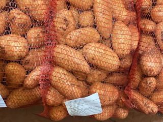 Patatas Spunta, origen marruecos. Envase: sacos de 10/15/25kg, Big