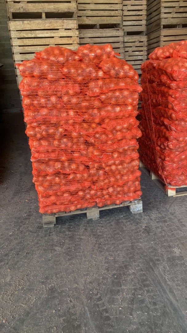 Vendo cebollas producidas en Serbia en 2024, envasadas en palets de más de 10 kg/1 tonelada