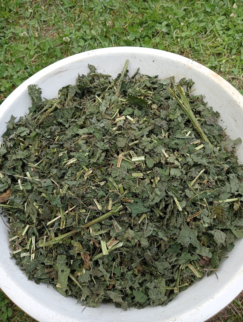 Venta de hierba y hojas de ortiga secas