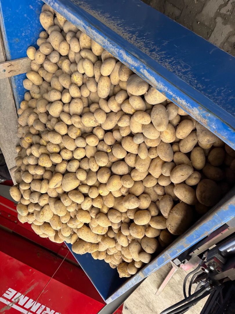 Hola, tengo papas en una bolsa grande y en una bolsa pequeña