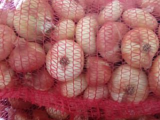 Vendemos cebollas al por mayor, gaseadas. Grandes cantidades disponibles.