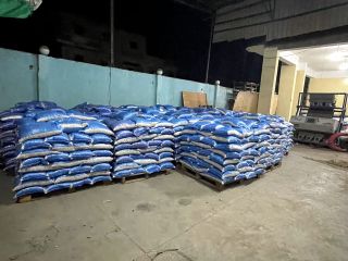 Frijoles blancos de la mejor calidad 180 A cada