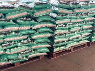 Frijoles blancos de la mejor calidad 180 A cada