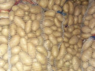 Hola! Nos dedicamos a la Importación y Exportación de